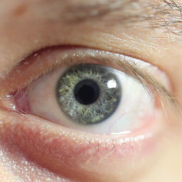 its your studio,olho, imagem de stock, banco de imagens